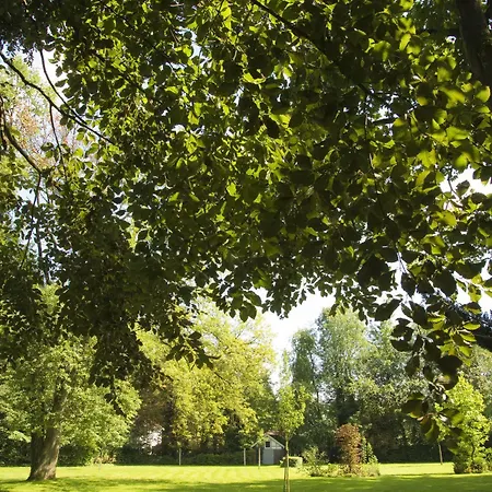 Oda ve Kahvaltı Bloemenweelde